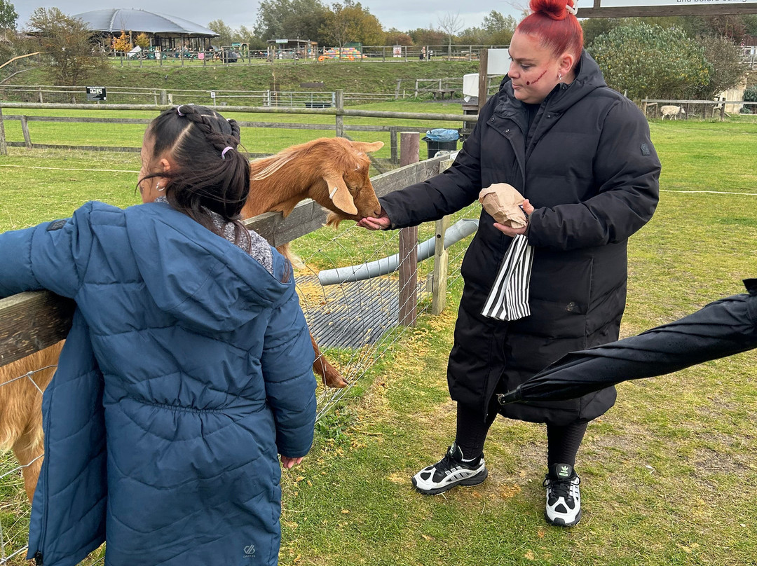 Hasty's Adventure Farm-滨海克拉克顿必去景点