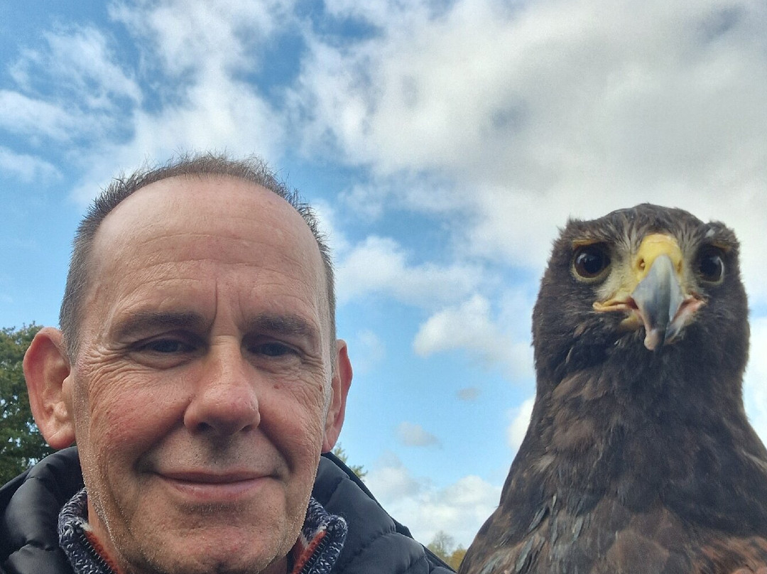 Lavenham Falconry-Monks Eleigh必去景点