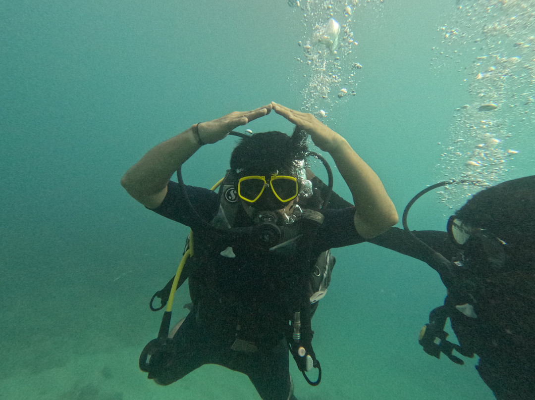 Turquoise Dream | PADI Dive Centre-Neil Island必去景点