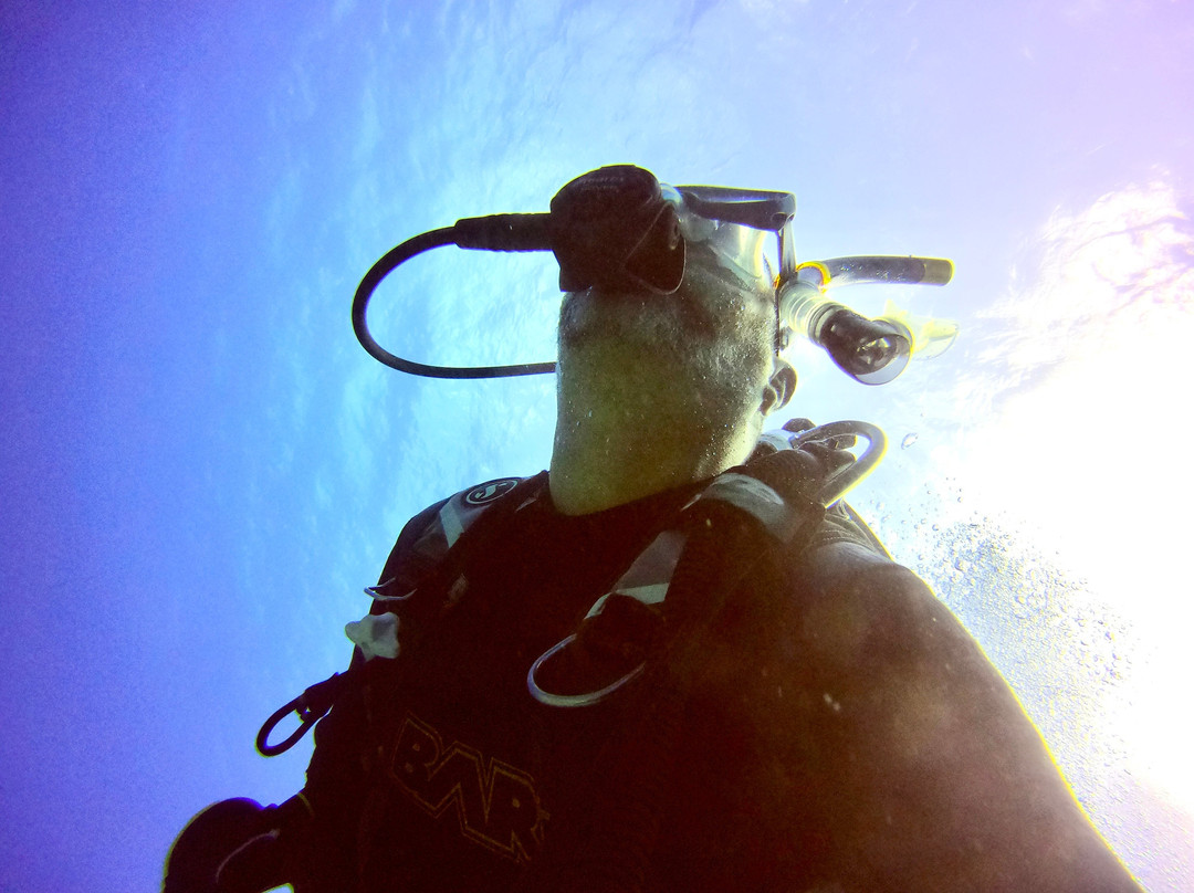 Dive Spirit Mauritius-卓欧毕雪必去景点