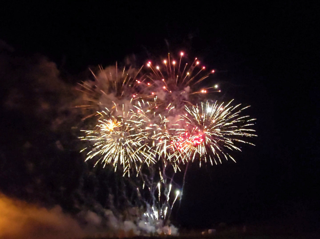 Apley Farm Shop-Norton必去景点