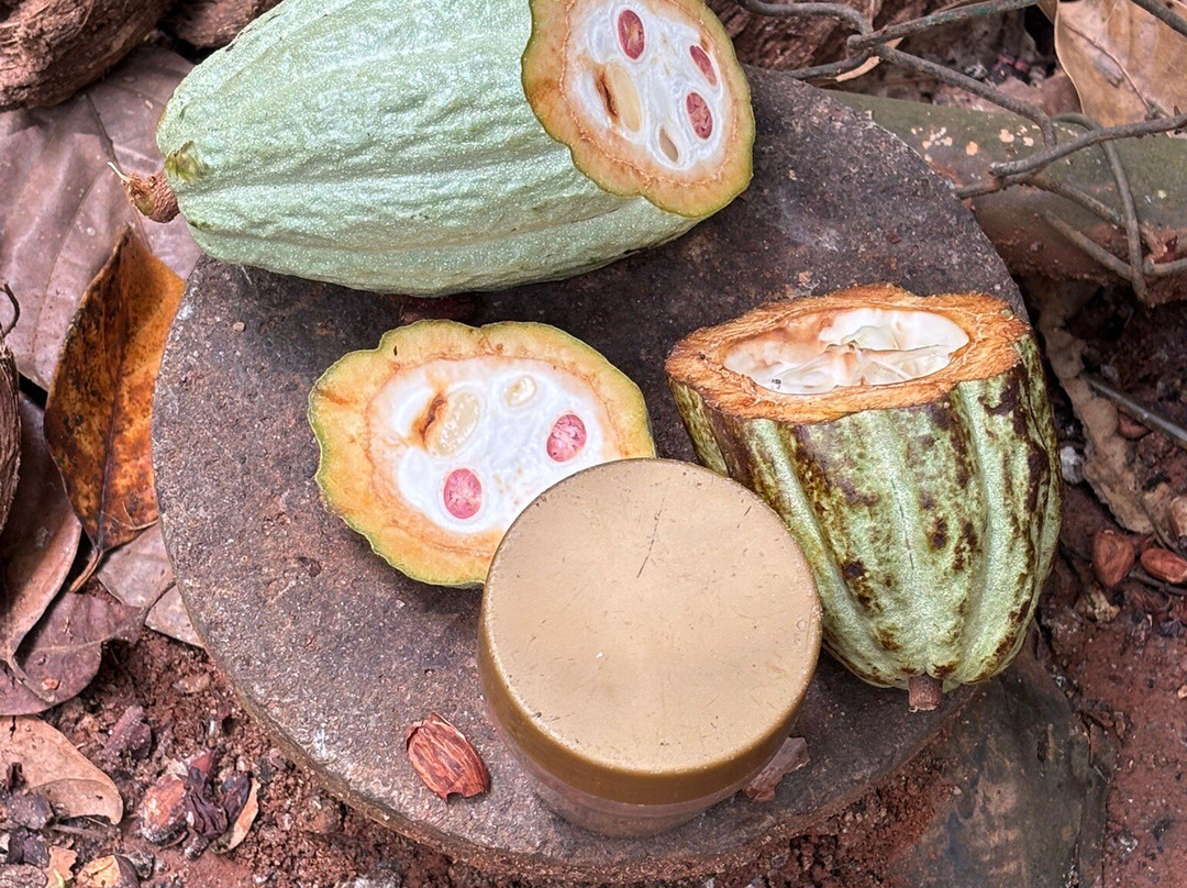 Ranweli Spice Garden-Matale必去景点