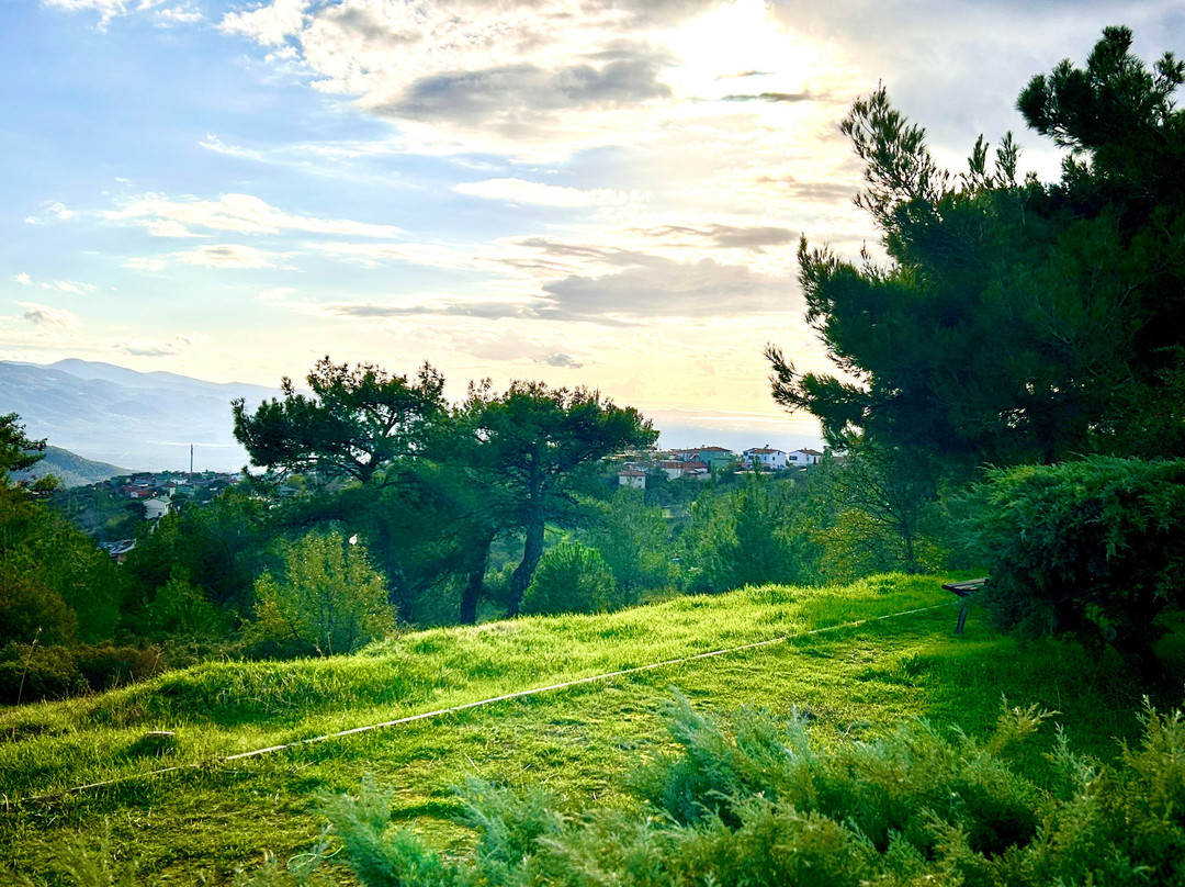 Seyit Onbasi Mezari-巴勒克西尔必去景点