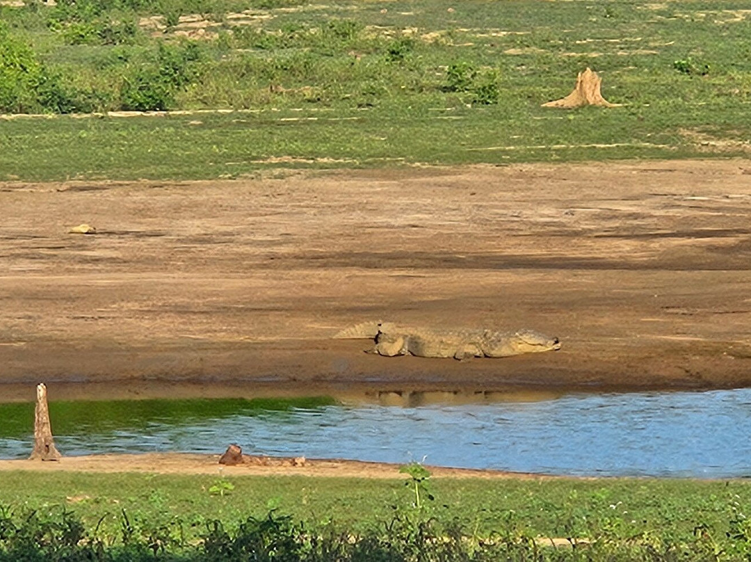 Walawe Natural Vibe Safari Service-乌达瓦拉瓦必去景点