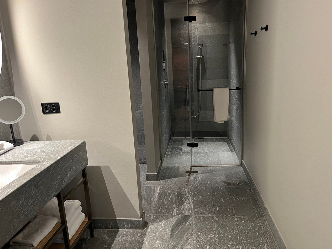 Hyatt Regency Zurich Airport The Circle主图