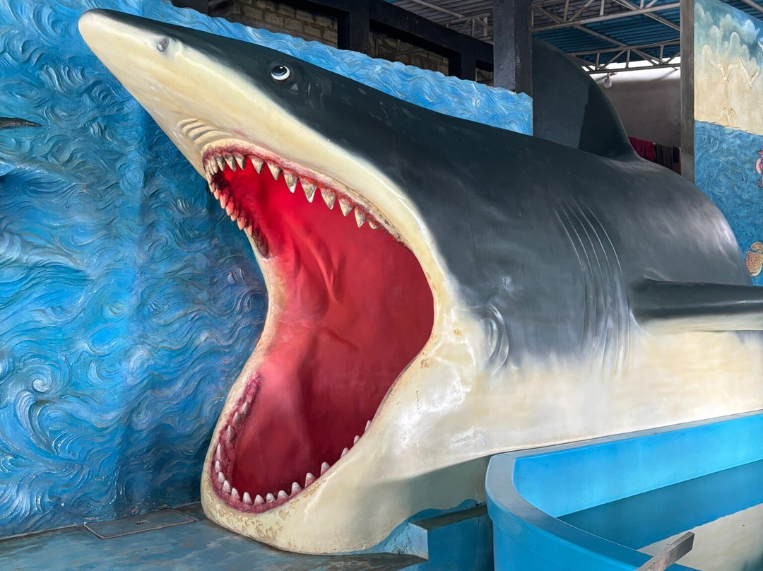 Ahungalla Sea Turtles Conservation And Research Center-亚洪加拉必去景点