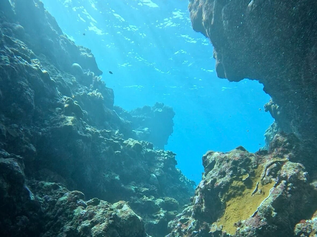 Miyakojima Diving Shop Guide-Ya-San-宫古岛市必去景点
