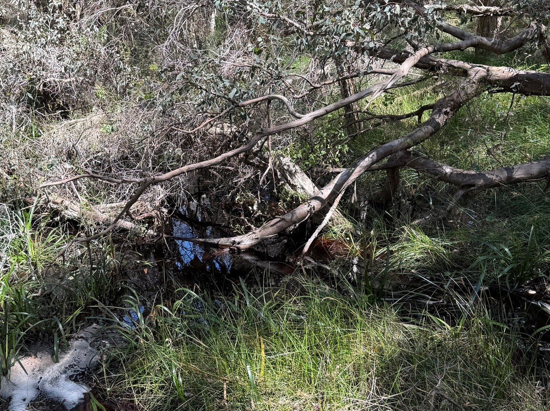 怀特曼公园-怀特曼 必去景点