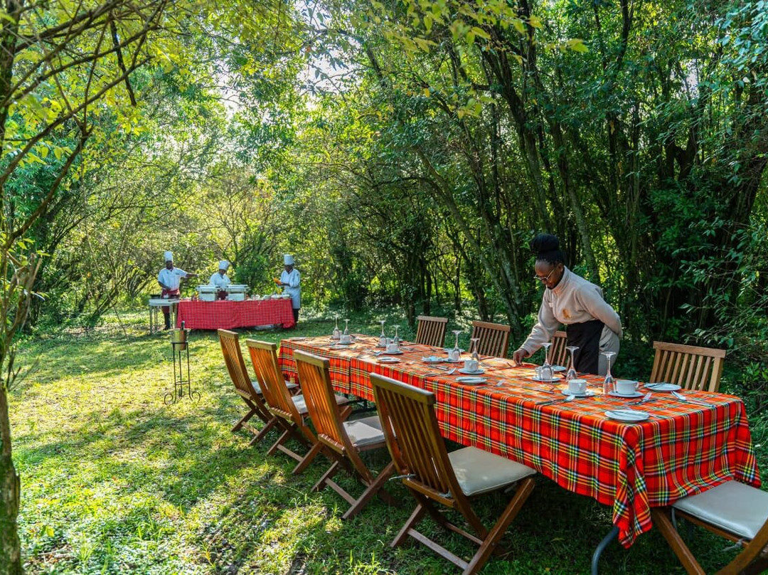 Olenini Safaris-纳罗克必去景点