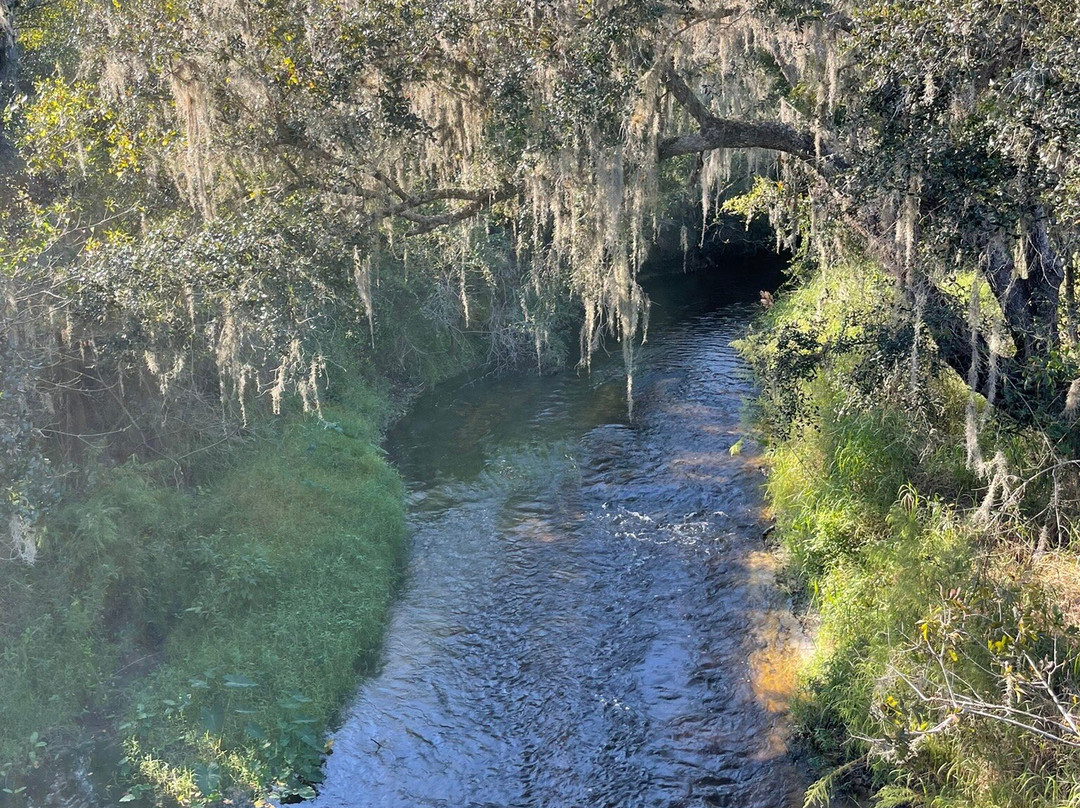 Paynes Creek Historic State Park-Bowling Green必去景点