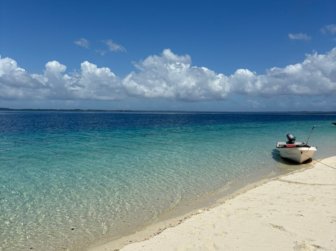 Pemba Island-奔巴岛必去景点