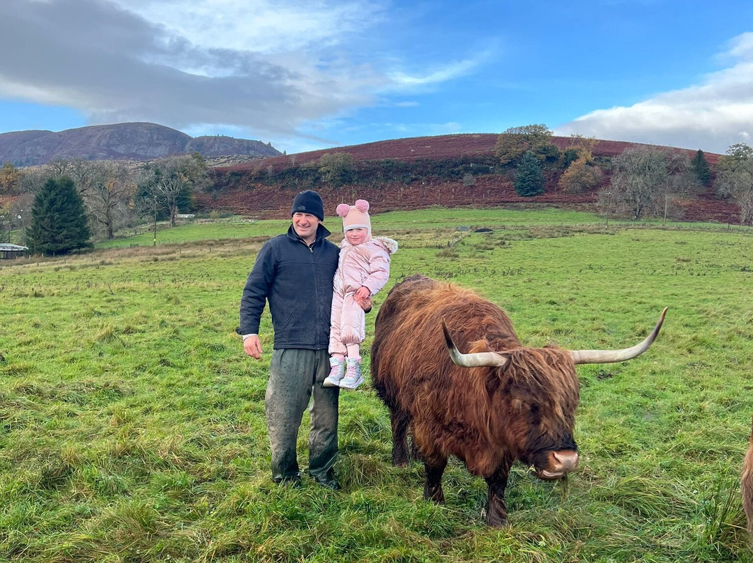 Nether Glenny Farm - Coos and Views-斯特灵必去景点