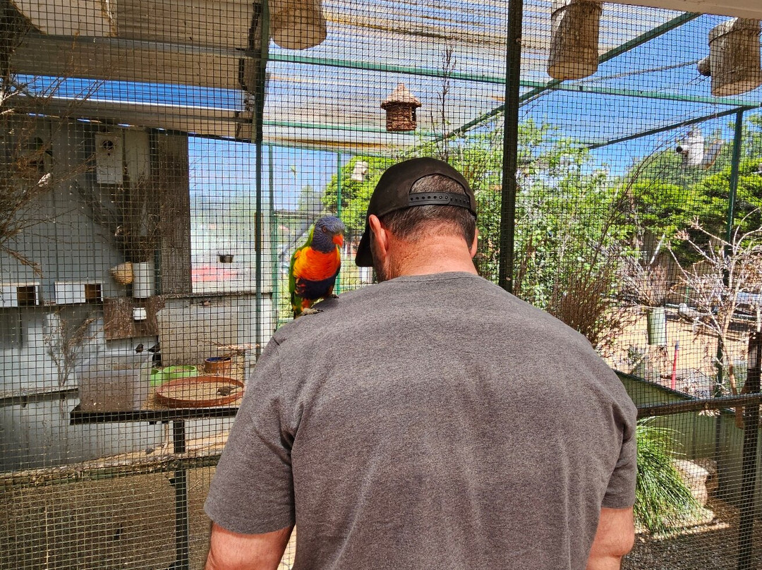 Canberra Walk in Aviary-尼克斯必去景点