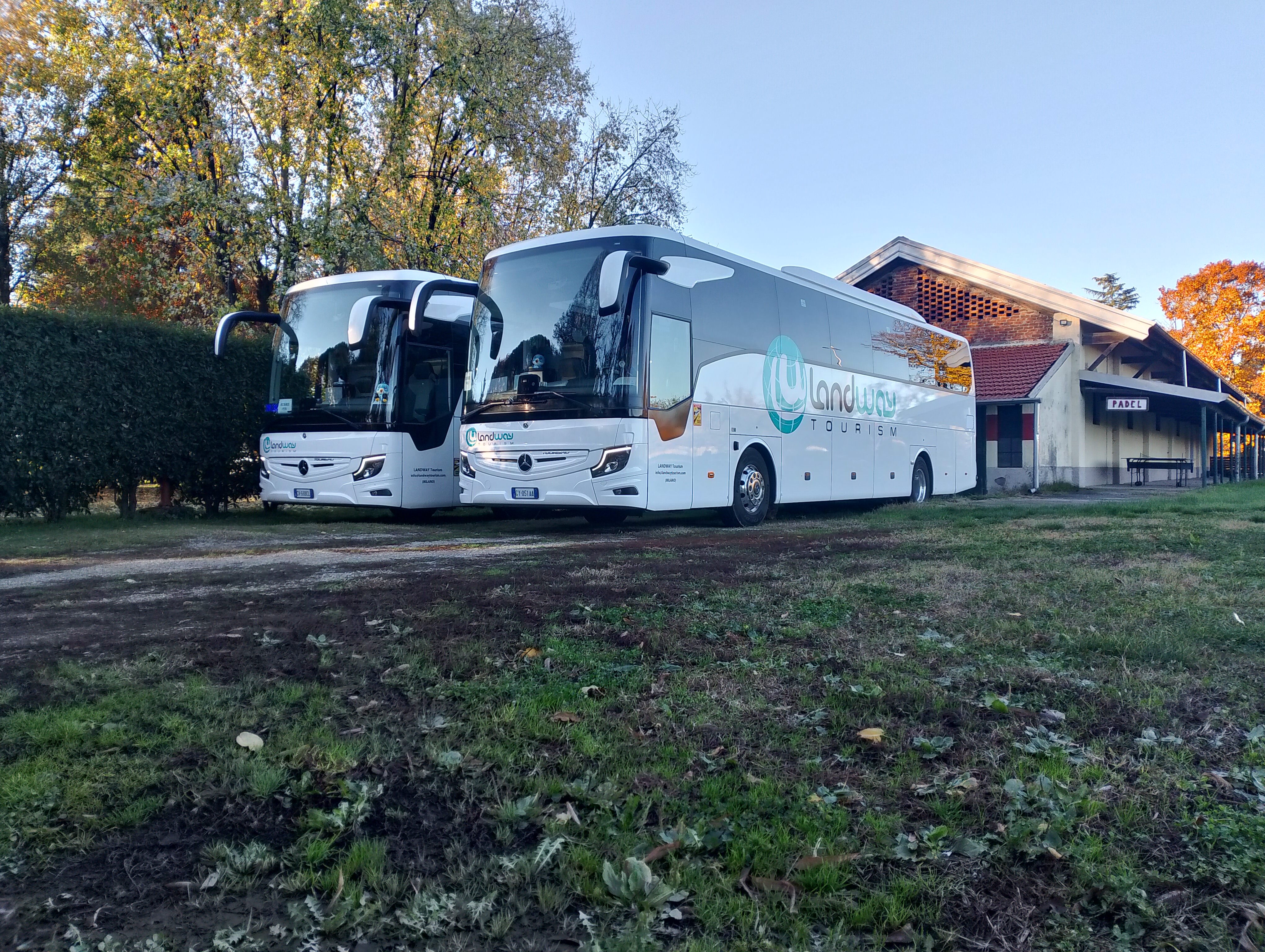 B&B Tommy Vitello-官方