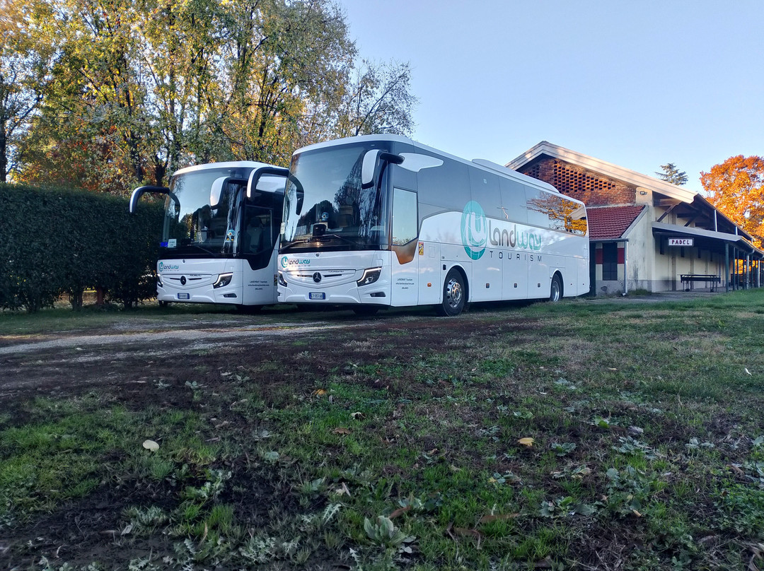 B&B Tommy Vitello主图