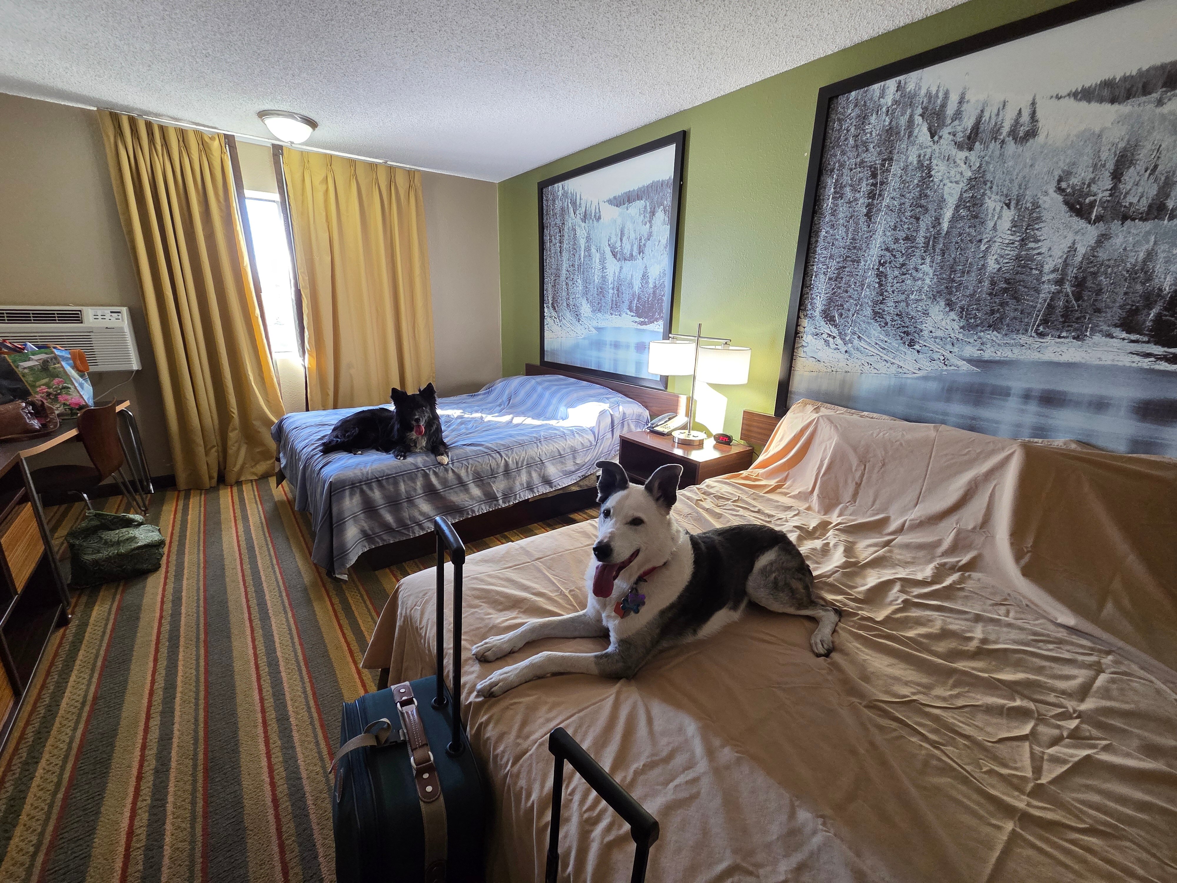 Super 8 by Wyndham Montrose-浴室