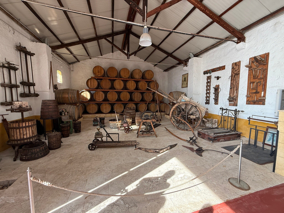 CANTINA MARTINEZ dal 1866-马尔萨拉必去景点