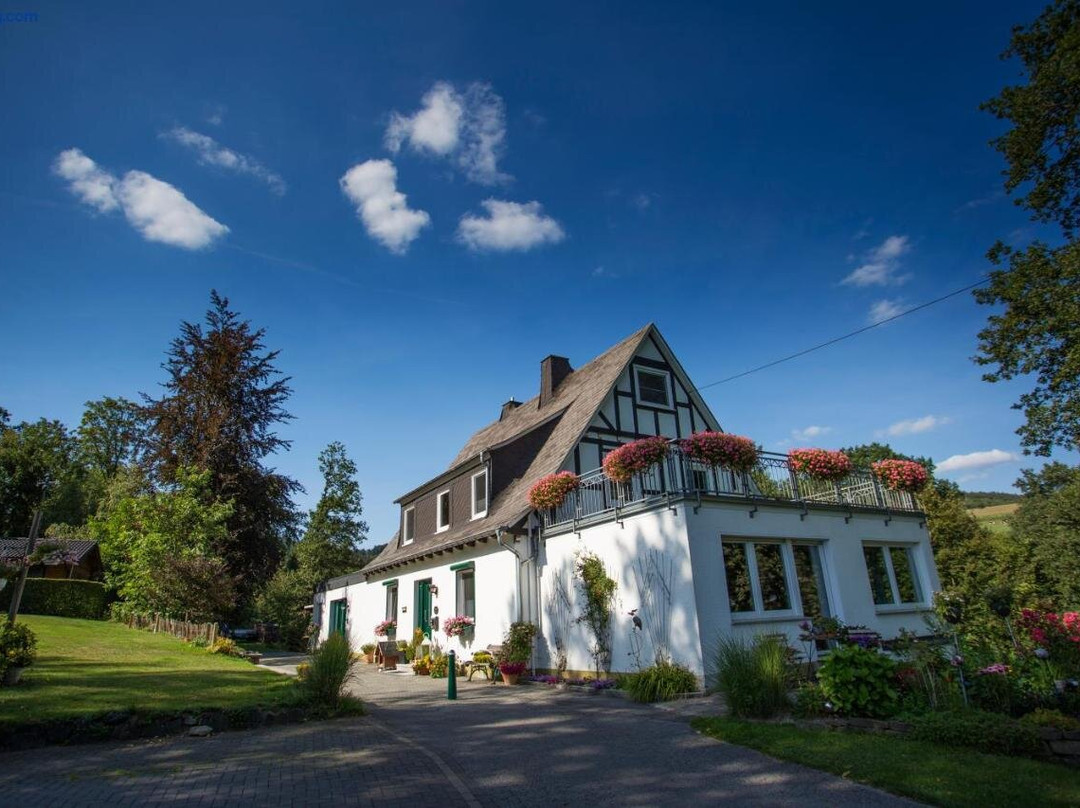 Fredeburg酒店住宿-Pension Haus am Walde