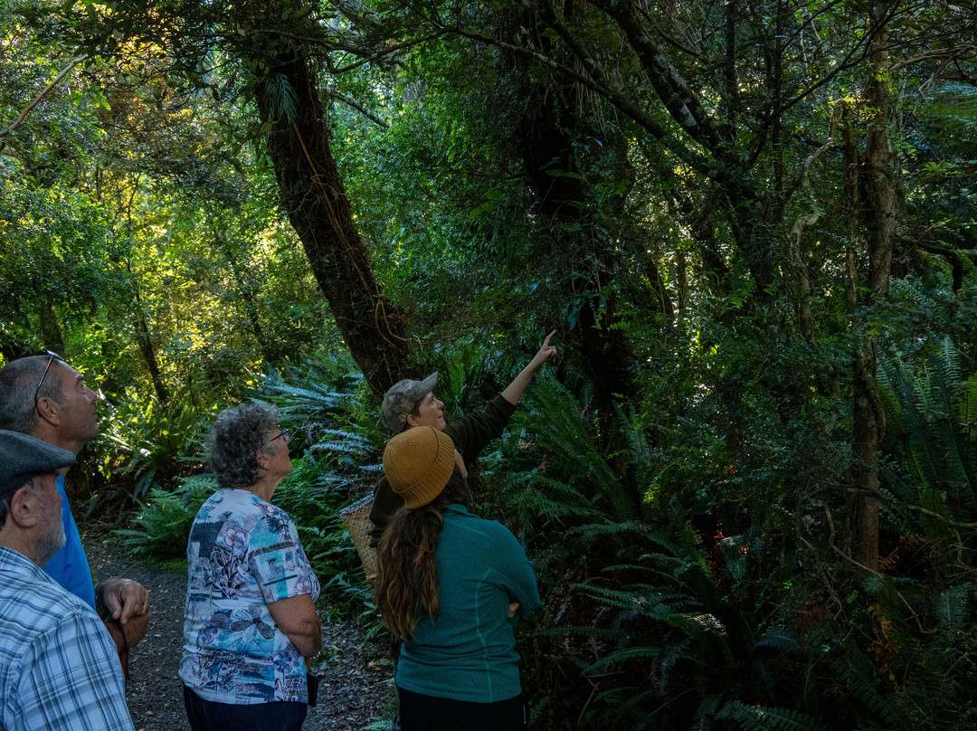 Orokonui Ecosanctuary-但尼丁必去景点