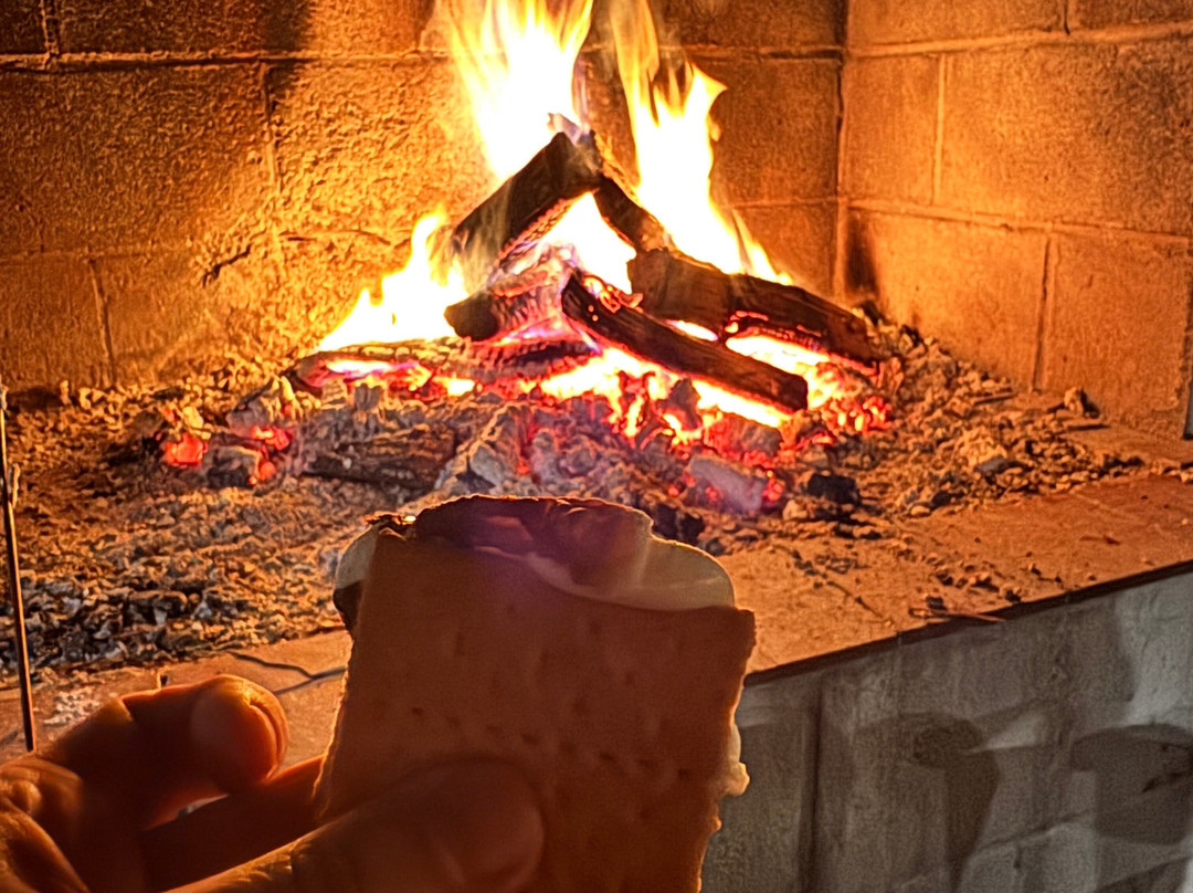 Bardstown Motor Lodge主图