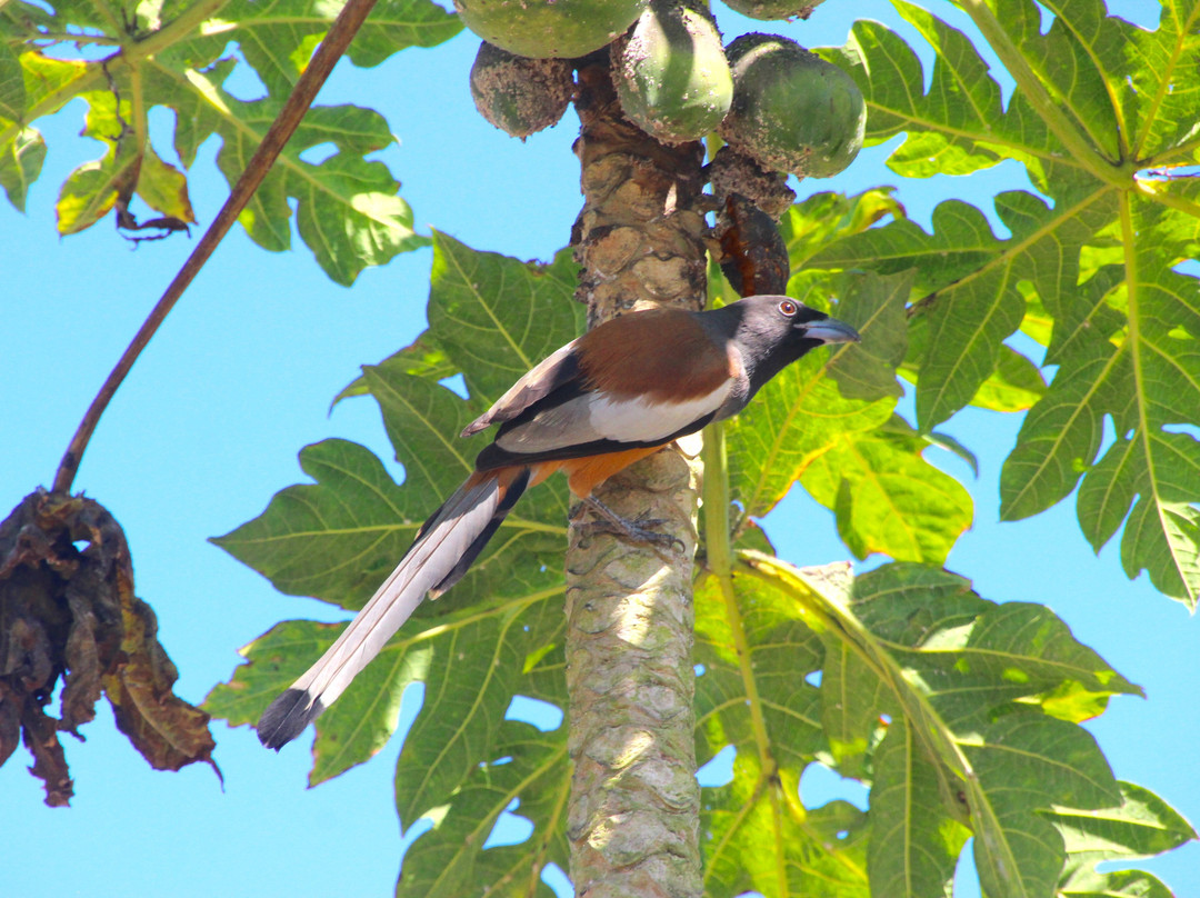 Orient Tourism Channel-达卡市必去景点