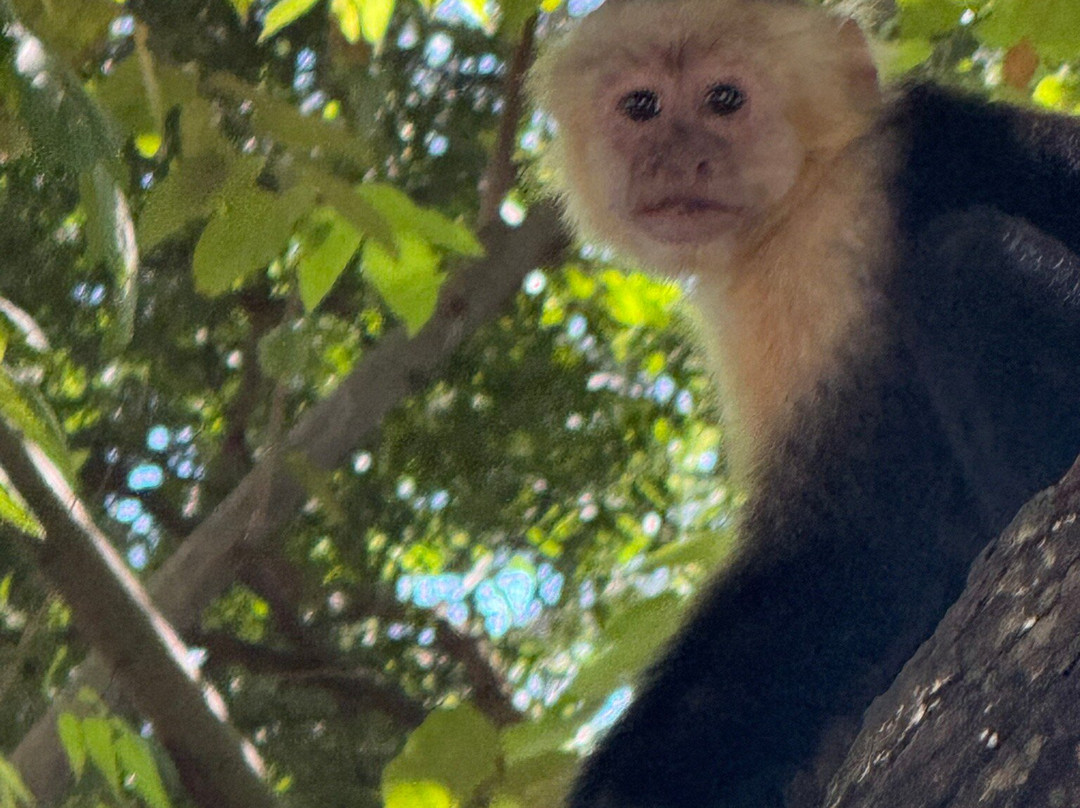 Planet Hollywood Costa Rica