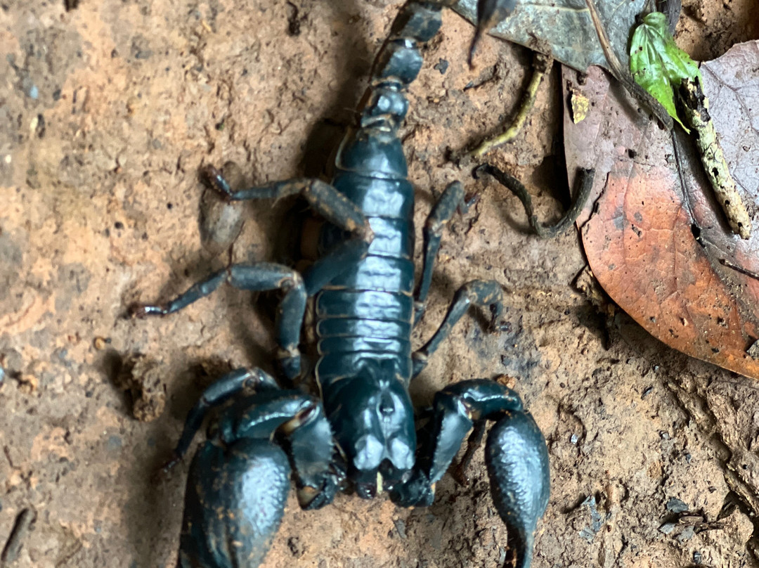 Green Leaf Tour-北冲县必去景点