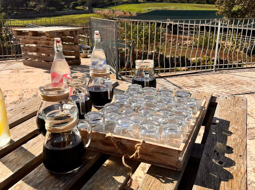 Quad Experience and Emotion-阿尔贝罗贝洛必去景点