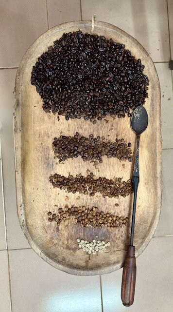 Full Adventures Boquete-波魁特必去景点