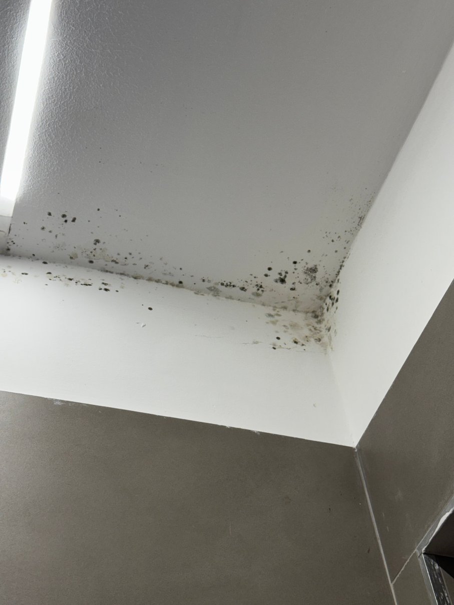 艾尔格亚迪诺酒店-官方