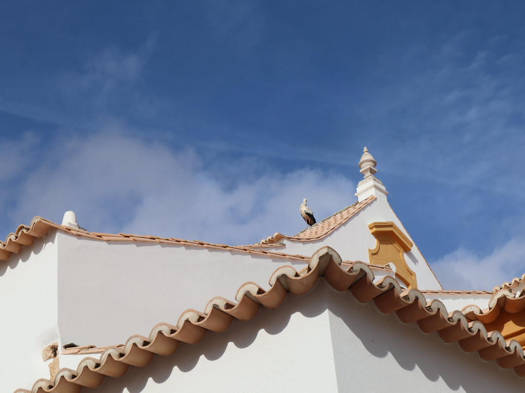 Igreja de Nossa Senhora da Conceicao-波尔蒂芒必去景点
