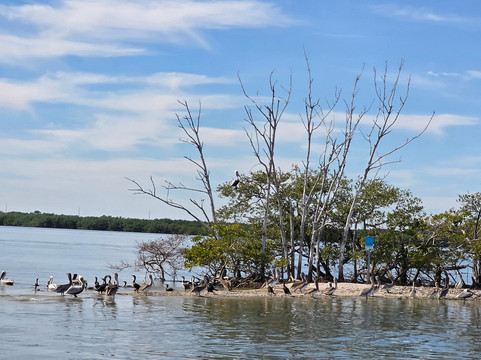FAU Harbor Branch Oceanographic Institute-匹尔斯堡必去景点