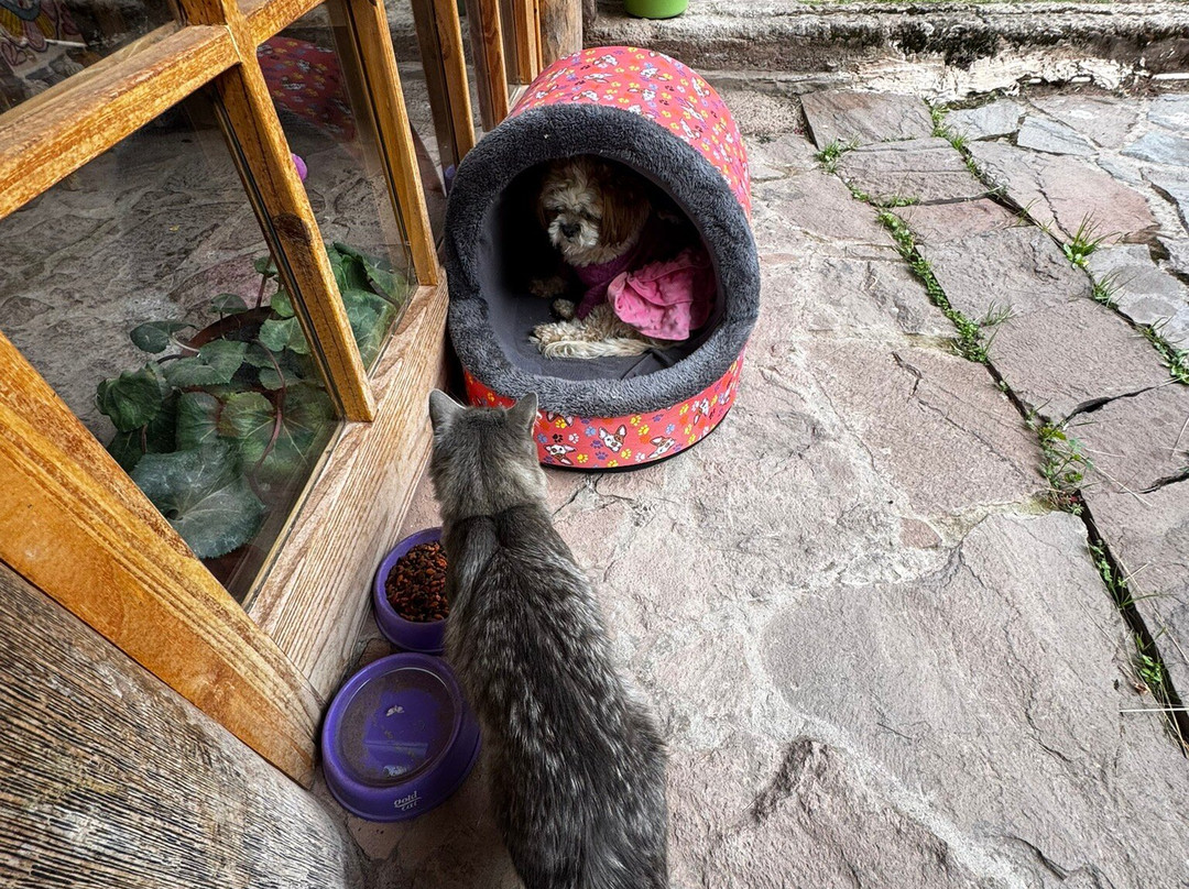 Etnikas Ayahuasca Retreats-库斯科必去景点