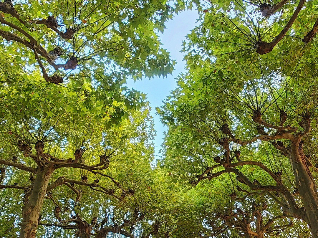 Église Notre-Dame-de-l'Assomption-Trelissac必去景点