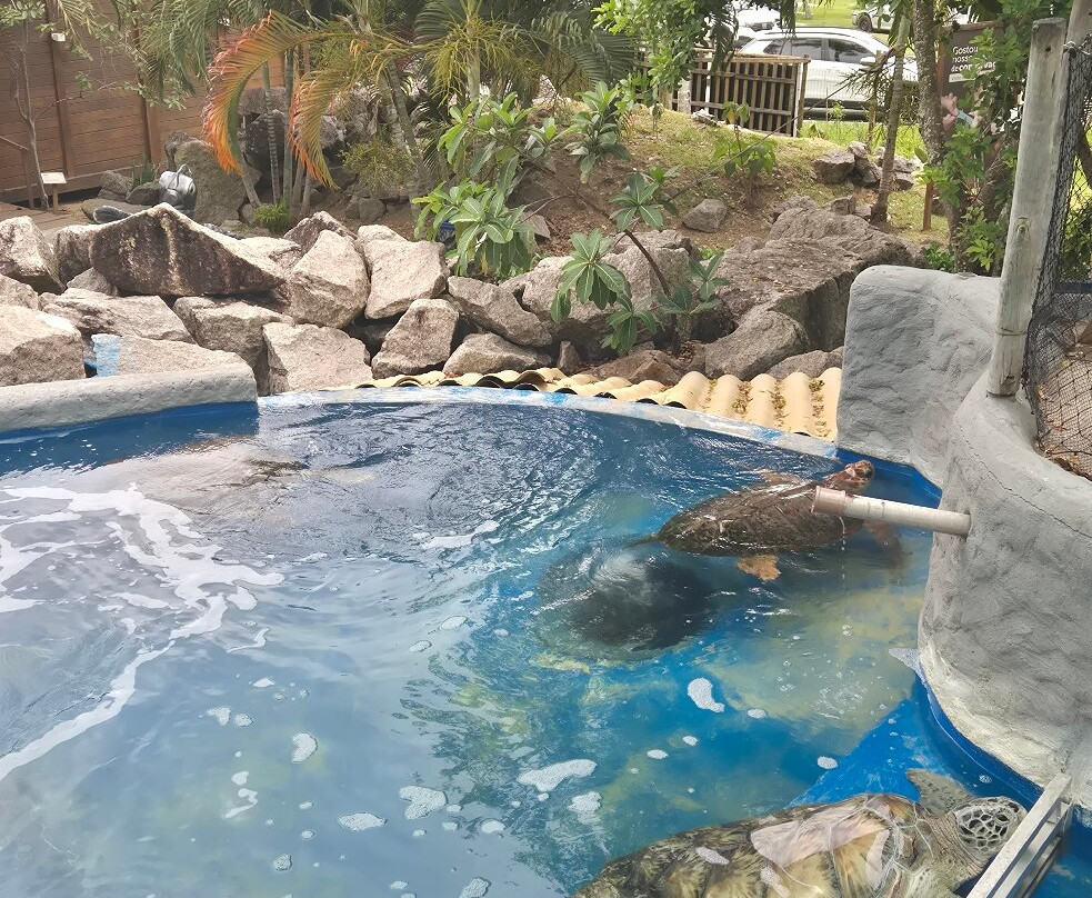 Fundação Projeto Tamar - Vitória-维多利亚必去景点