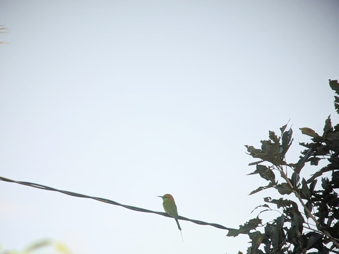 SVC野生动物保护区-暹粒必去景点