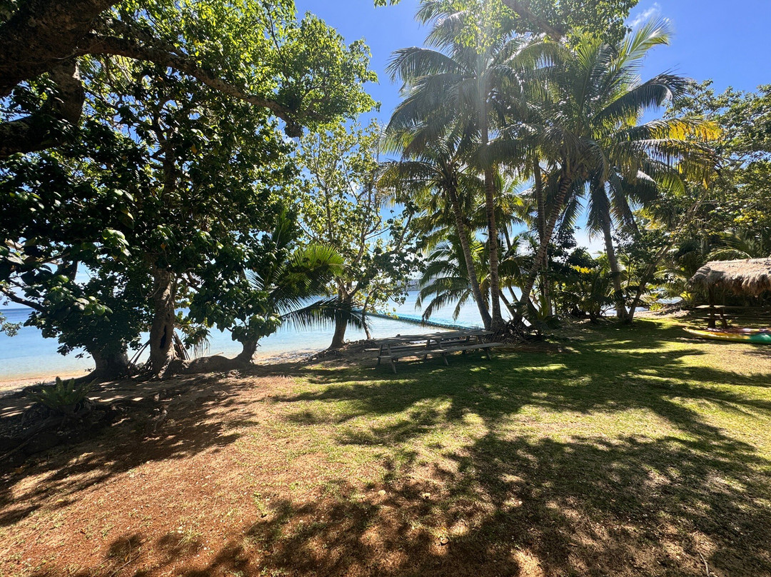 Gite NATAIWATCH主图