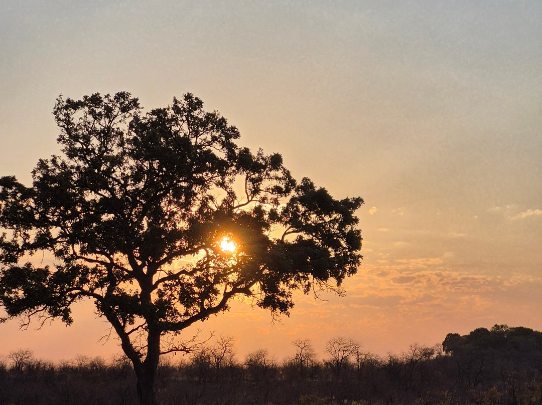 Bushbaby Adventures-伐拉博瓦必去景点