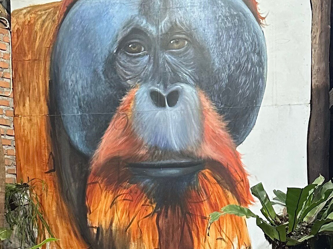 Padang Private Driver-巴东必去景点