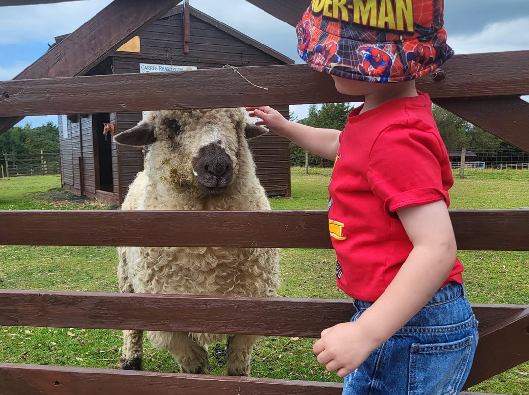 Gypsy Wood Park-卡那封必去景点