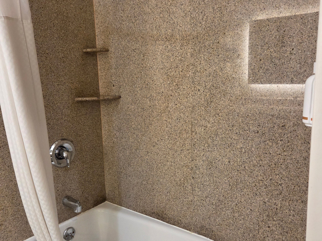 普莱森顿都柏林拉金塔旅馆及套房酒店主图