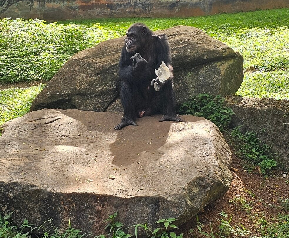 National Zoological Gardens of Sri Lanka-拉非尼亚山必去景点
