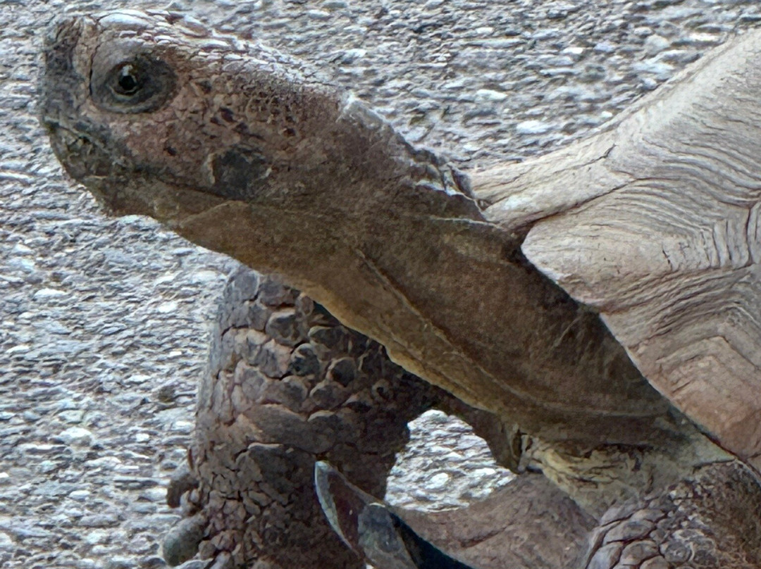 The Gateway Trailhead-斯科茨代尔必去景点