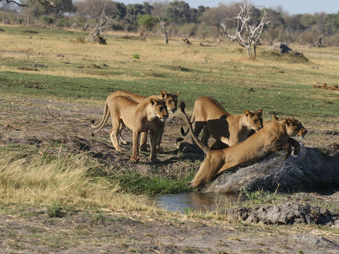 Letaka Safaris-马翁必去景点