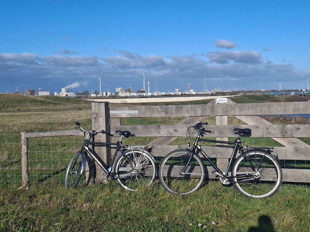 Cyclant-安特卫普必去景点