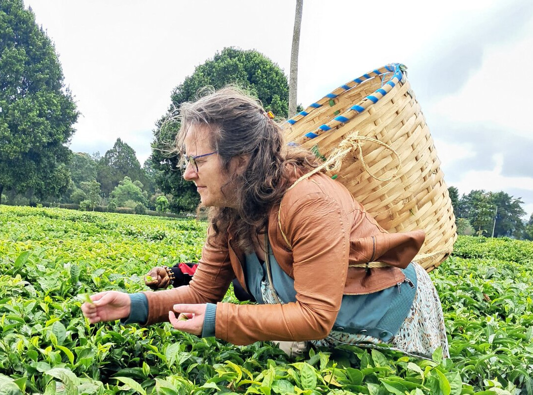 Sensory Garden Kenya-黎木鲁必去景点