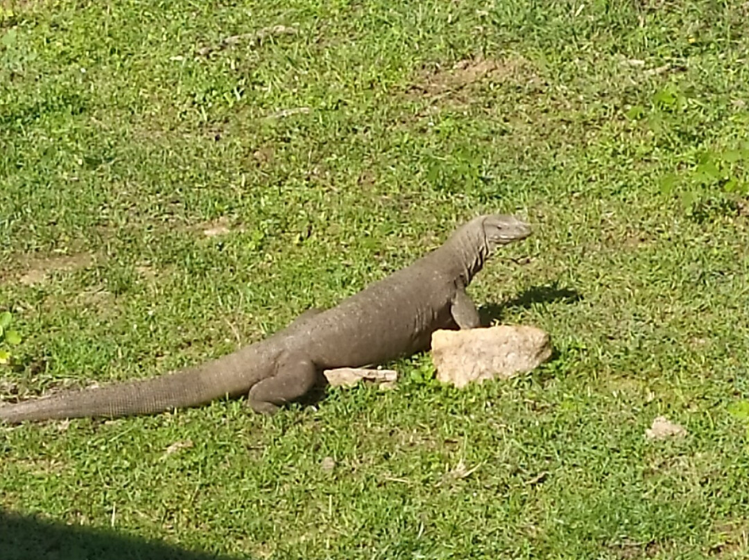 Yala Lahiru Safari-蒂瑟默哈拉默必去景点