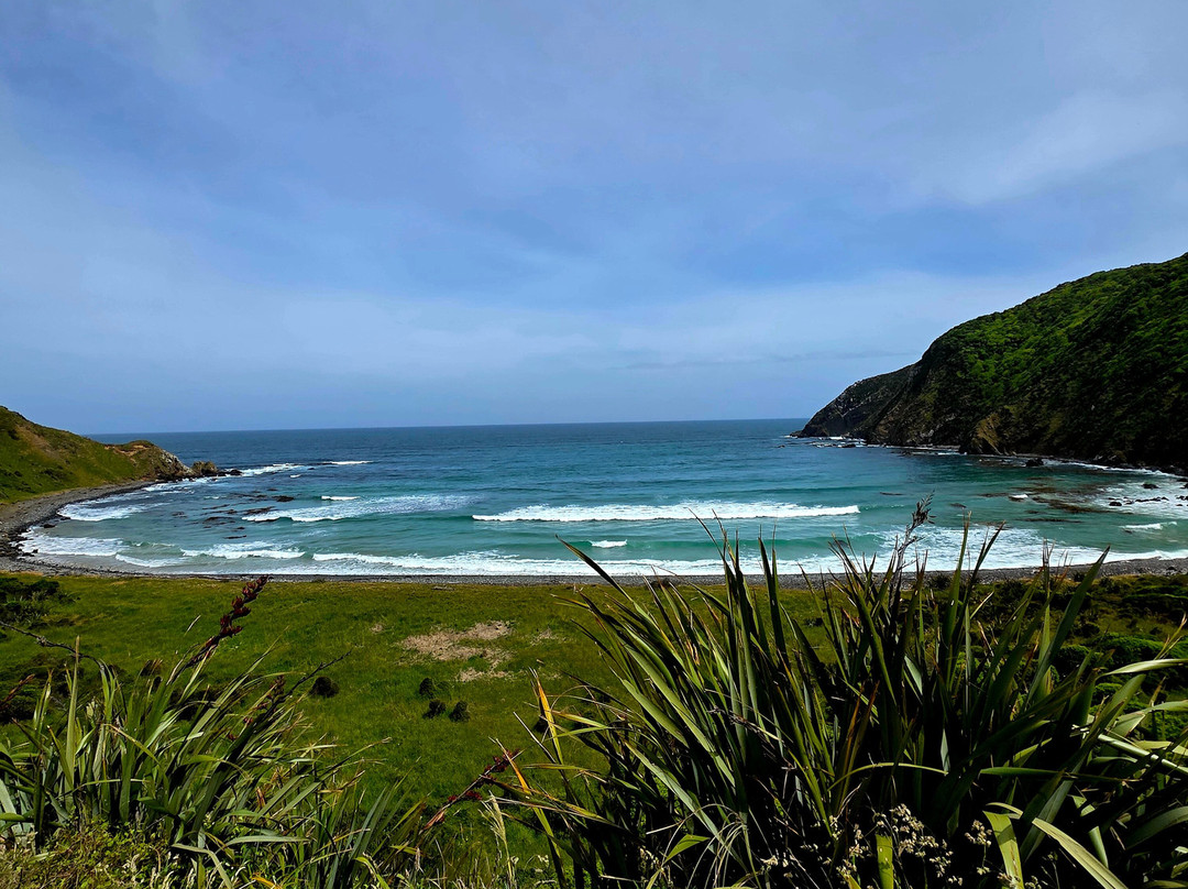 Roaring Bay-Ahuriri Flat必去景点