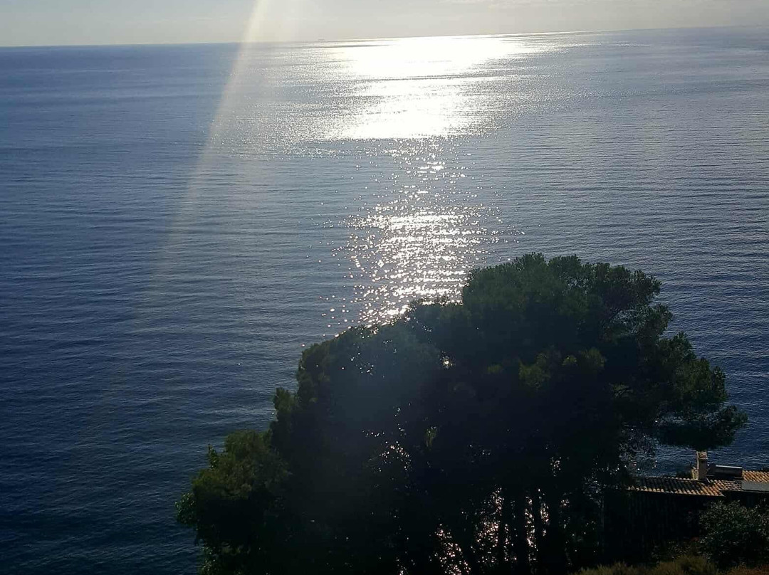 Hotel Salobrena主图