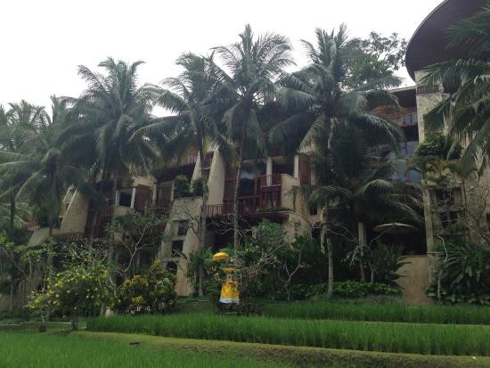 巴厘岛乌布四季度假村主图